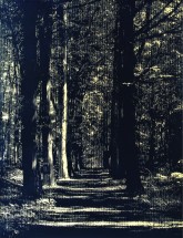 湯浅克俊『Whereof one cannot speak, thereof one must be silent』作家蔵