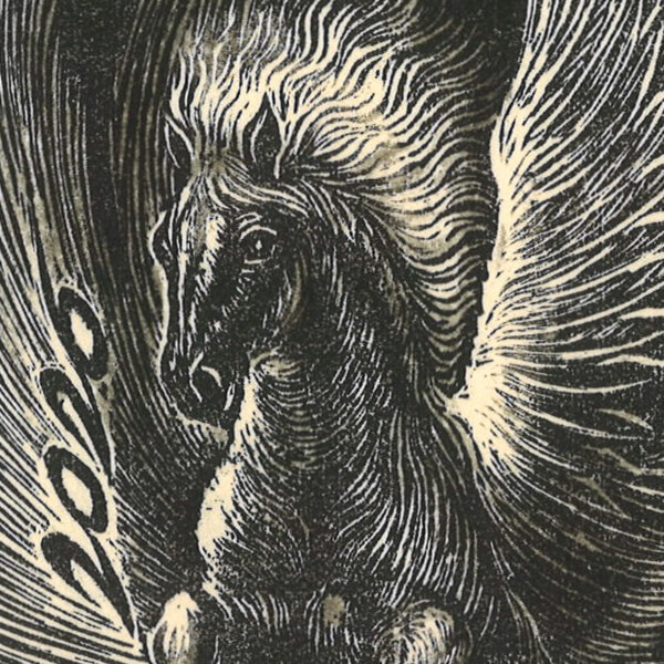 特別賞 一般の部 : 倉田宗治